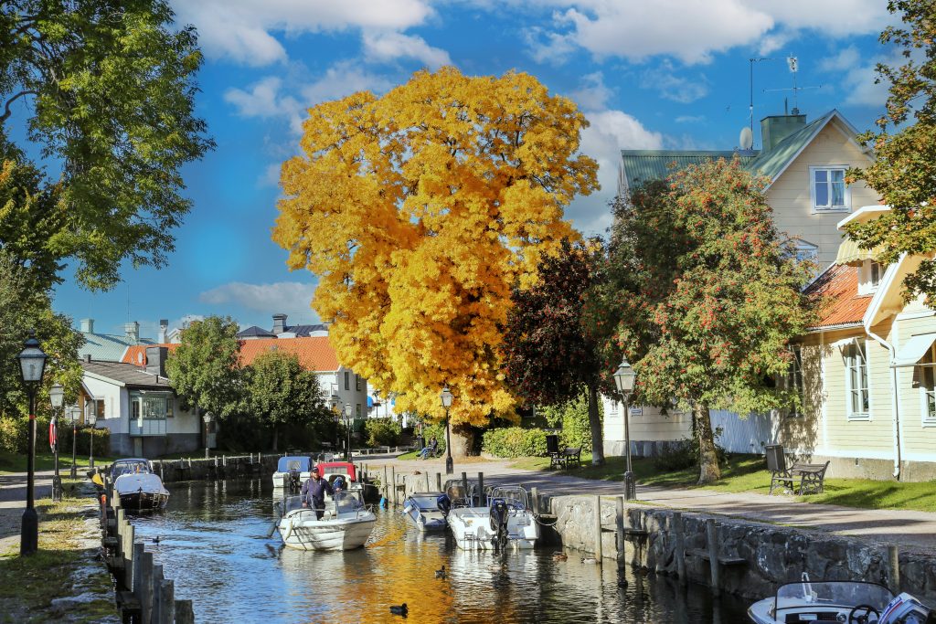 Trosa stream in the fall